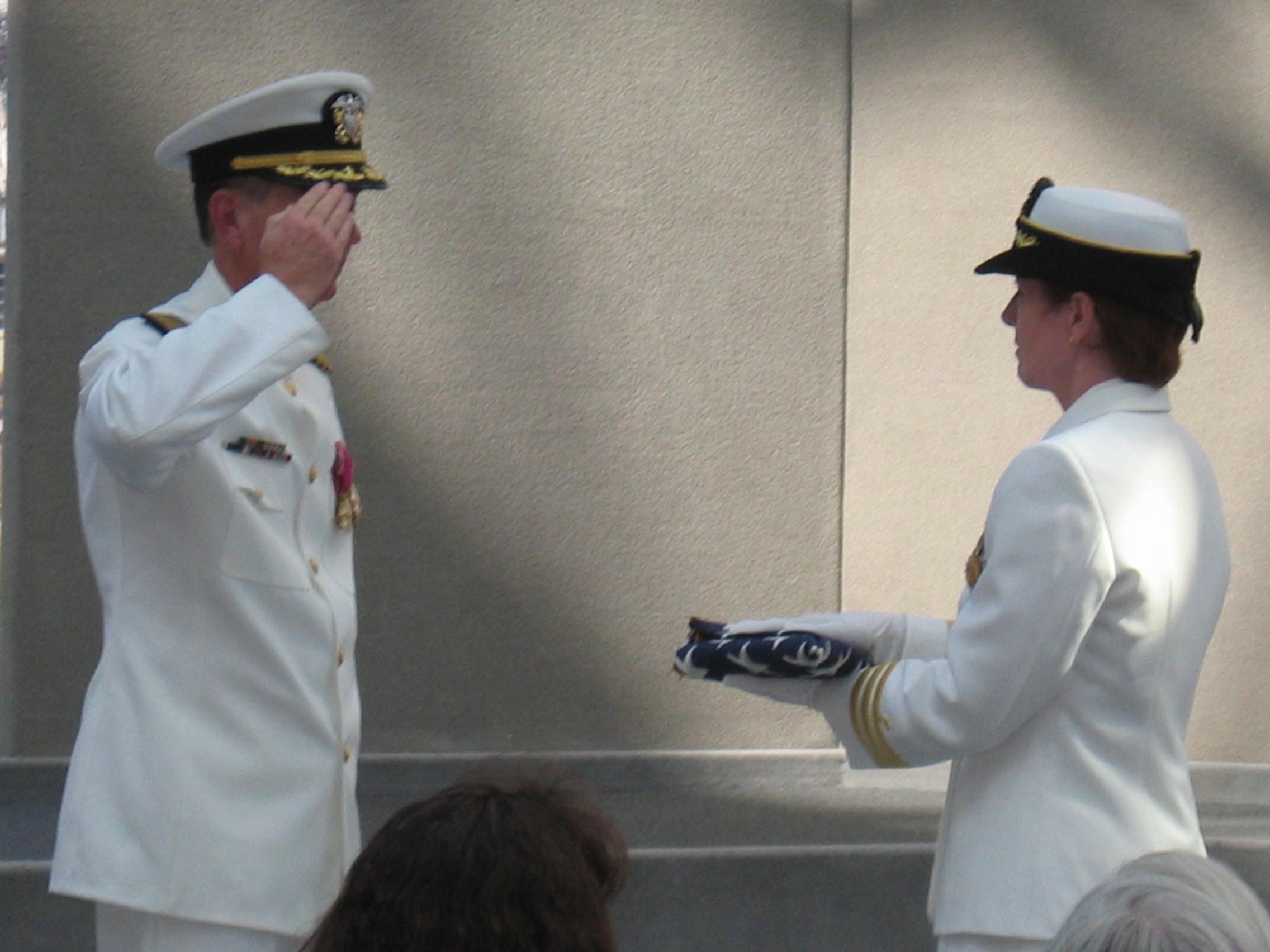 MCNABB RECEIVING FLAG
