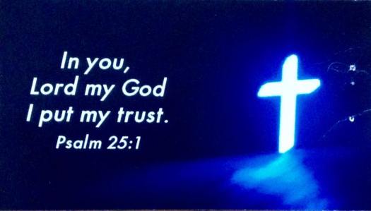 13920939_10208855047591182_3470187700367552432_n